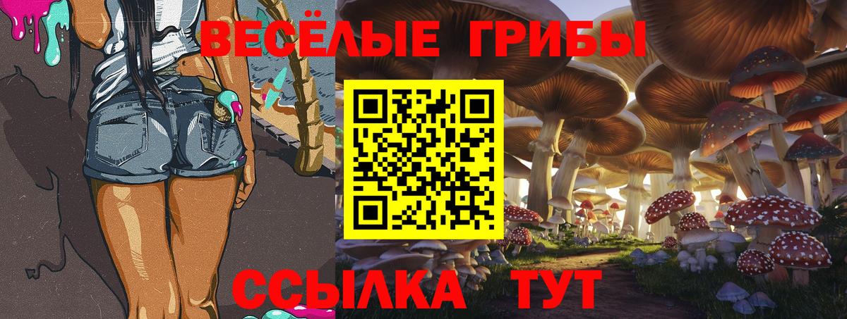 Псилоцибиновые грибы Cubensis  Псилоцибиновые грибы ЛСД  Новоуральск  Вход с VPN 
